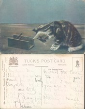 Cat and mouse trap Raphael Tuck Sons Animals Art