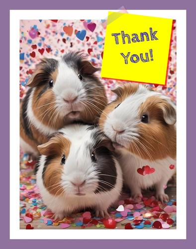 Guinea pig thank you card - pig,
