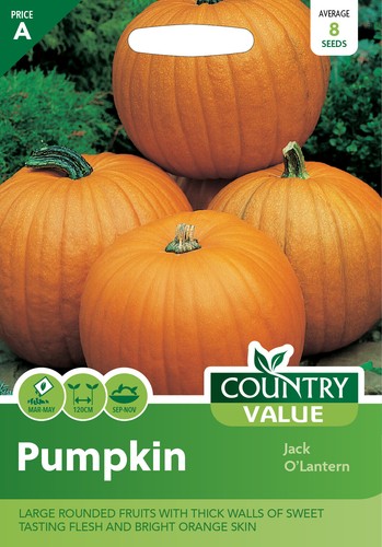 Herb and vegetable seeds - vegetable,