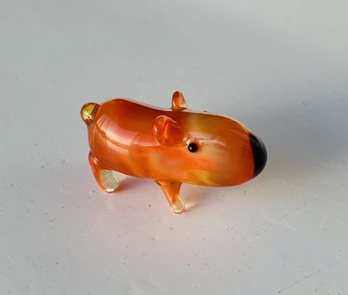 Guinea pig mini - guinea, collectible