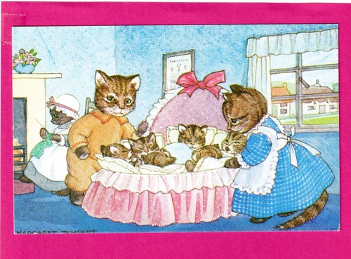 Margaret tempest cat - tempest:, cat's