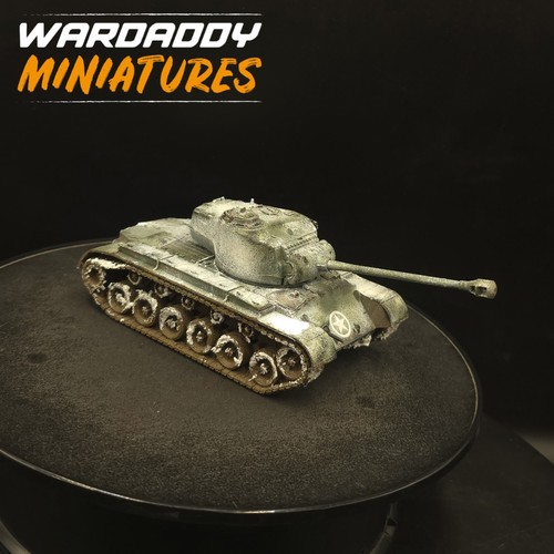 Pro painted 28mm - painted,