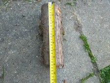 English Yew turning Blank