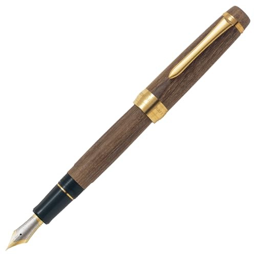 Pilot custom enju fountain - custom, pen