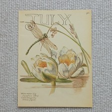 Vintage 1977 July Dragonfly