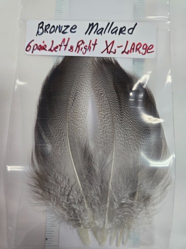 Lot pair mallard - ,