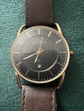 Skagen Denmark Watch 