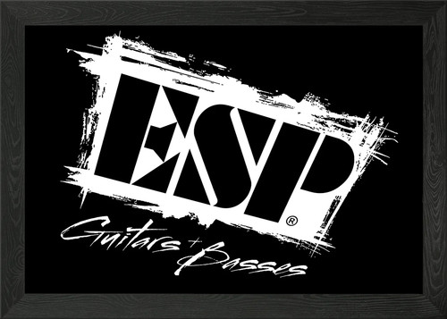 Esp guitars framed wall art - framed,