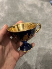 Limoges France Gold Navy