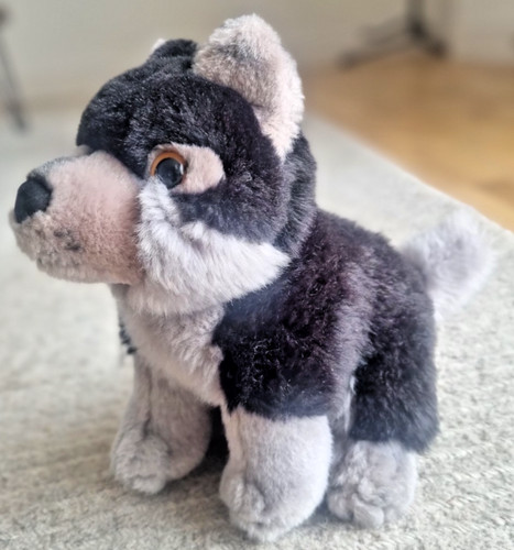 Nature planet husky - husky, 13"