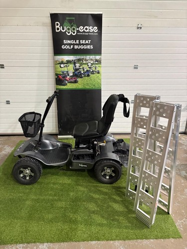 Used golf buggy - used, buggy,