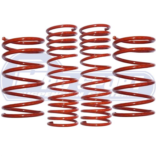 Pro sport lowering springs - lowering,