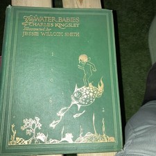 The Water Babies Illustrated By Jessie Wilcox Smith  (For Boots)