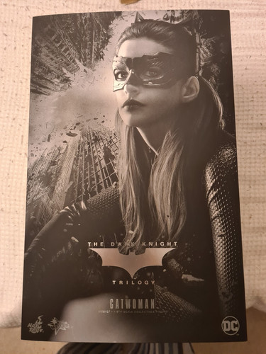 Hot toys catwoman batman the - toys,