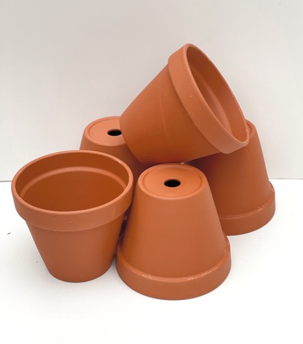 Traditional terracotta plant - traditional,