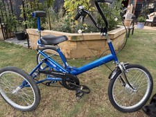 Teen/small adult Tomcat Trike Special Needs with towing attachment 