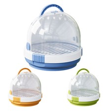 Small bird parrots - small,
