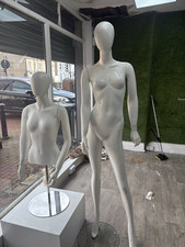Mannequins or Dummies. Manikin