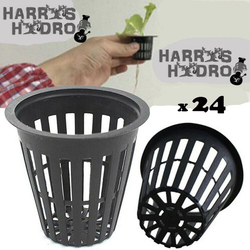 24pcs hydro plant - grow, net