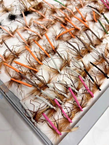 Large trout fly fishing - trout,