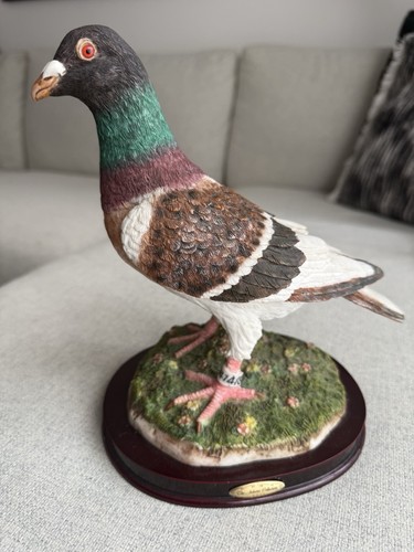 Racing pigeon 2001 - 2001, the