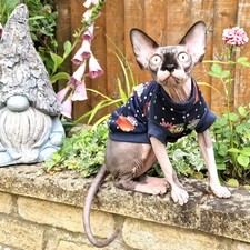 Cactus Reclaimed Summer Jersey