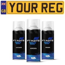 Car Paint By Registration