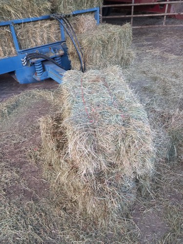 Small conventional hay bales - small,