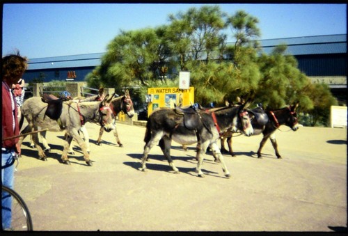 35mm slide transparency - 35mm,