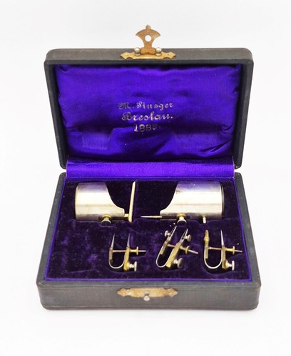 19th century pinzger - 19th,