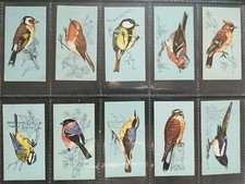 TETLEY TEA CARDS BRITISH BIRDS SET  VERY GOOD CONDITION.