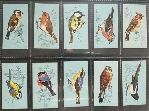 Tetley tea cards british - tetley,