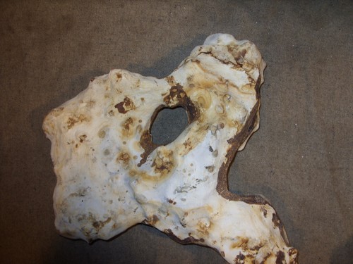 Flint hag stone - flint,