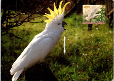 (1790) 18-11-2025 -  Australia