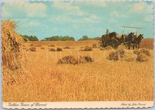 Vintage Postcard Amish Farming Indiana Horse-Drawn Equipment USA