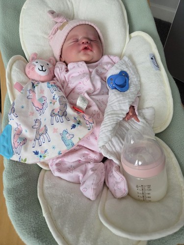 Reborn doll jules painted - doll,