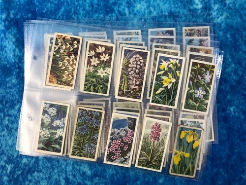 Brooke bond tea wild - brooke, flowers