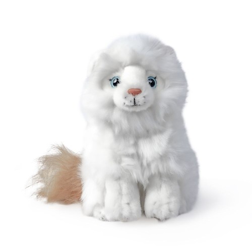 Ragdoll kitten cat plush soft - kitten,