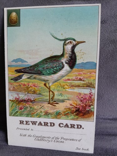Cadbury reward card lapwing - cadbury's,