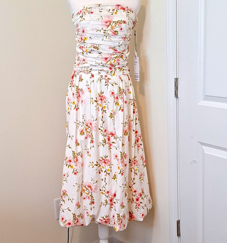 Tulip creations white pink - creations,