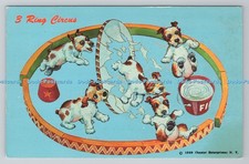 R786680 3 Ring Circus Dogs Chester Enterprises N Y N P O Belfast