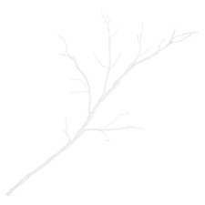  Tree Branches for Decoration