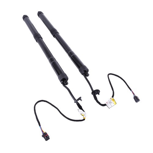Electric tailgate gas - electric,