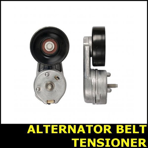 Ribbed belt tensioner - ribbed,