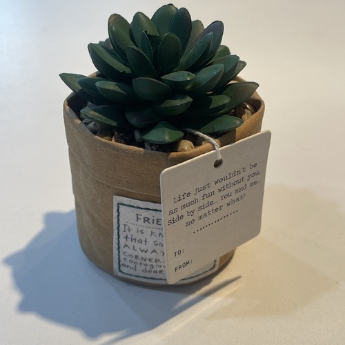 Demdaco green succulent plant - demdaco,
