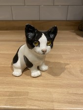Winstanley Black And White Cat