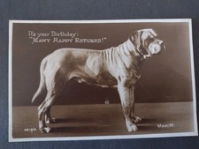 Dog Breed Profile Postcard, Mastiff, Birthday Greetings 