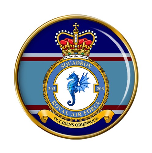 203 squadron raf pin - 203, badge