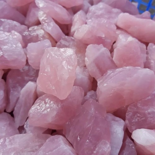 Kilo genuine rough rose - 1,
