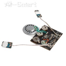 30s Sound Voice Module